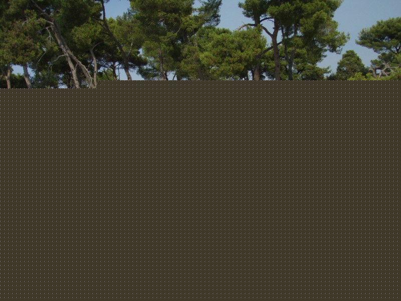 Tábor A je to! 263