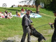 Tábor A je to! 3063