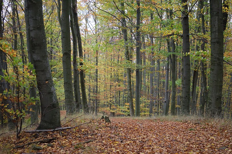 Tábor A je to! 0519