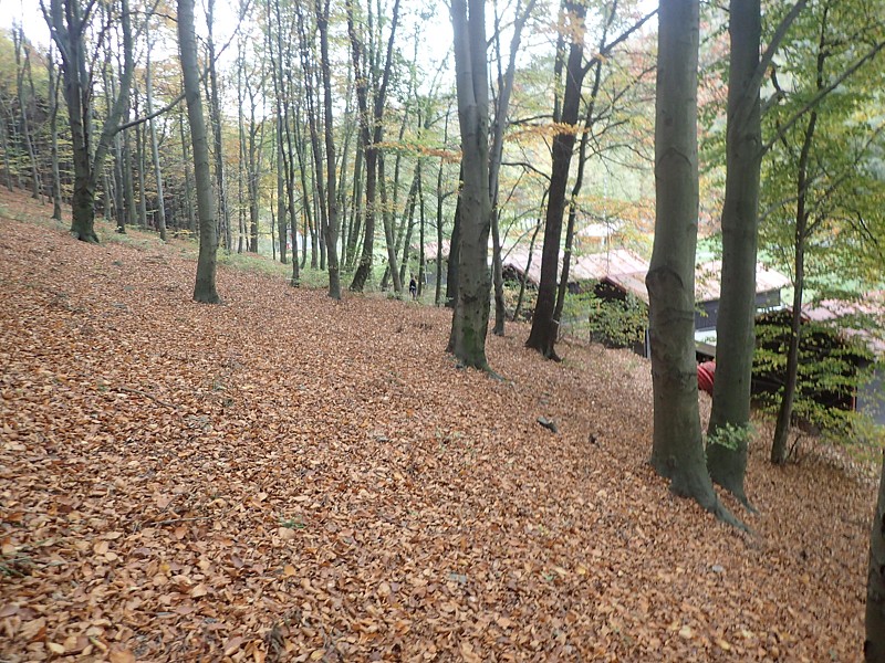 Tábor A je to! 0601