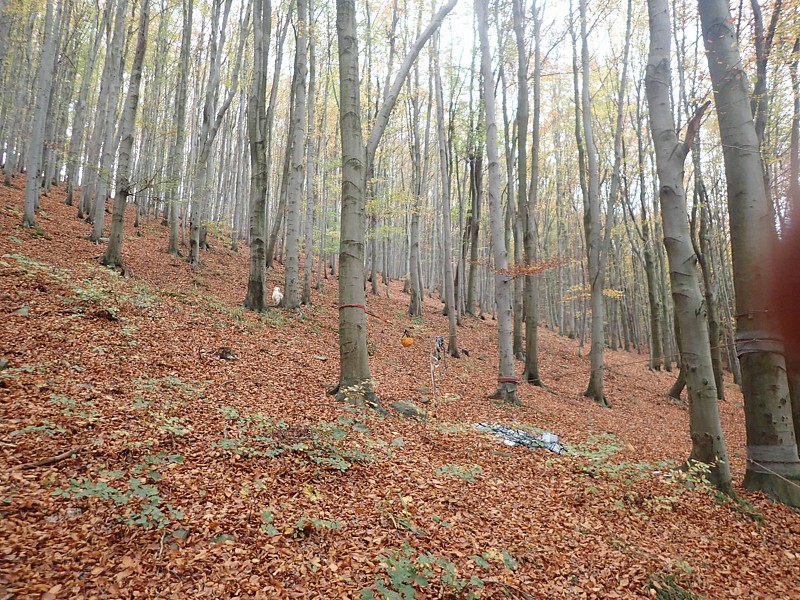 Tábor A je to! 0606