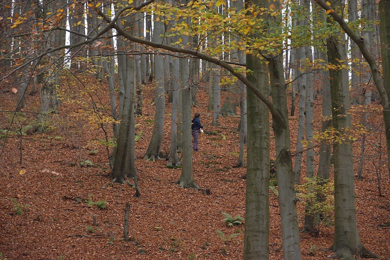 Tábor A je to! 0729