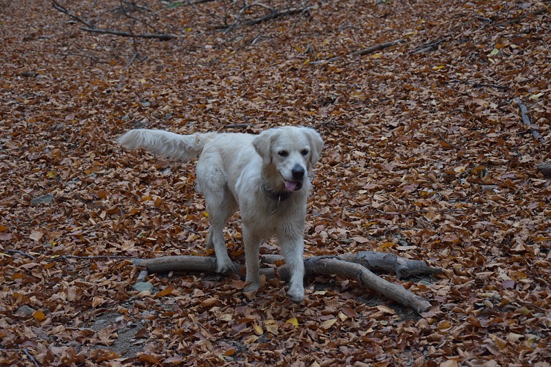 Tábor A je to! 0798