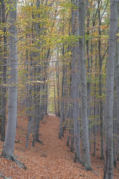 Tábor A je to! 0866