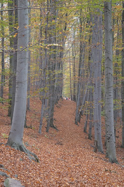 Tábor A je to! 0867