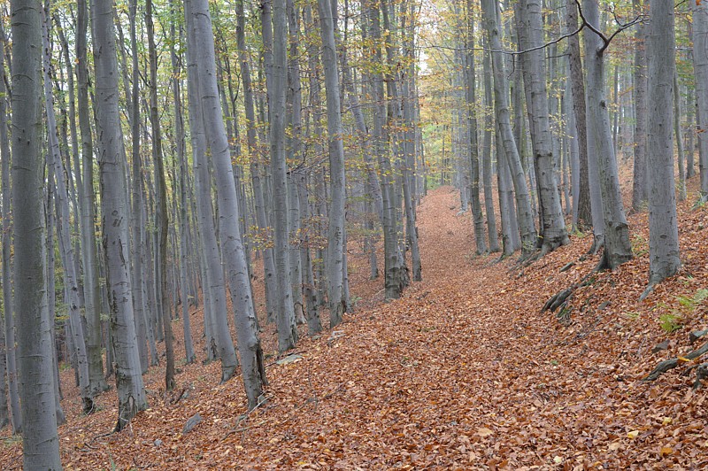 Tábor A je to! 0873