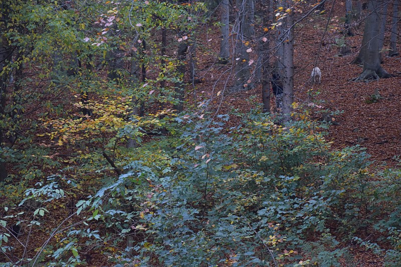 Tábor A je to! 0957