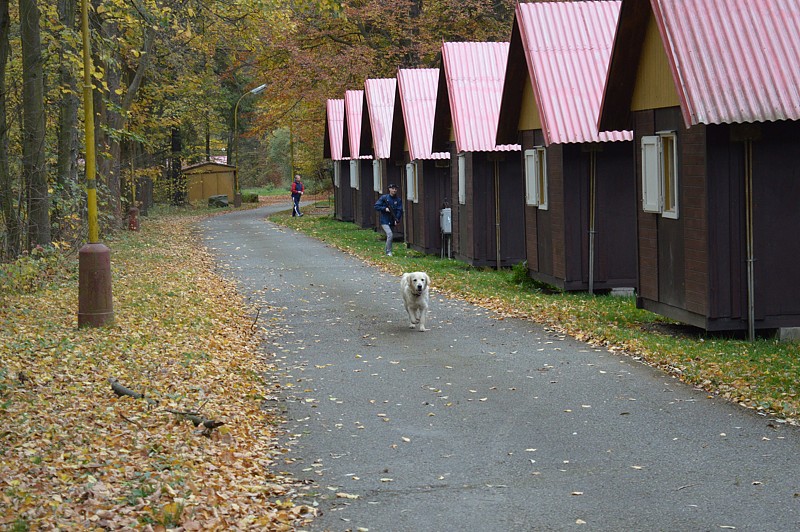 Tábor A je to! 1053