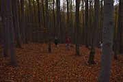 Tábor A je to! 1865