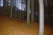 Tábor A je to! 1866