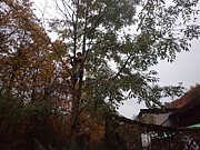 Tábor A je to! 1916