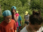 Tábor A je to! 223
