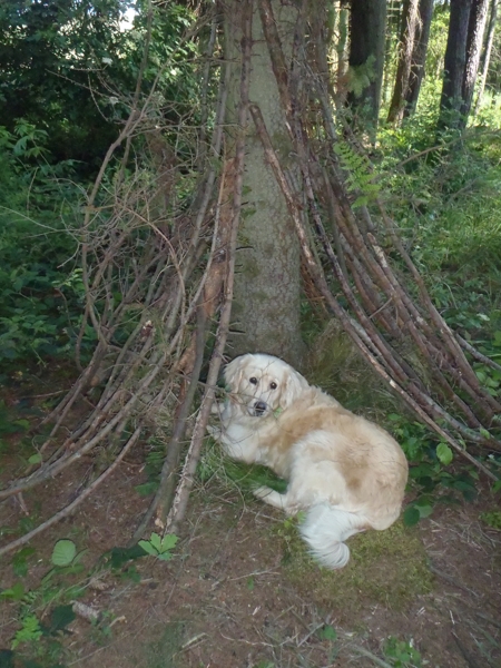 Tábor A je to! 1025