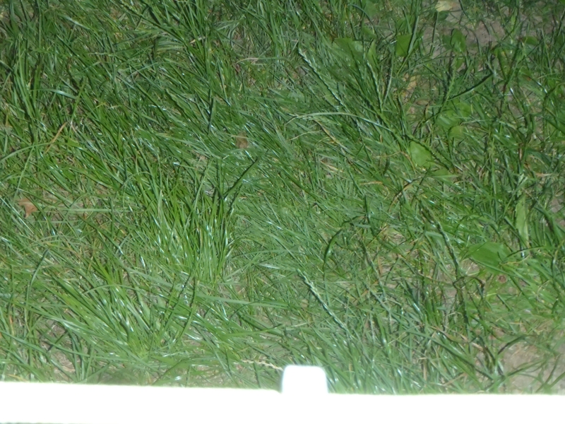 Tábor A je to! 4662