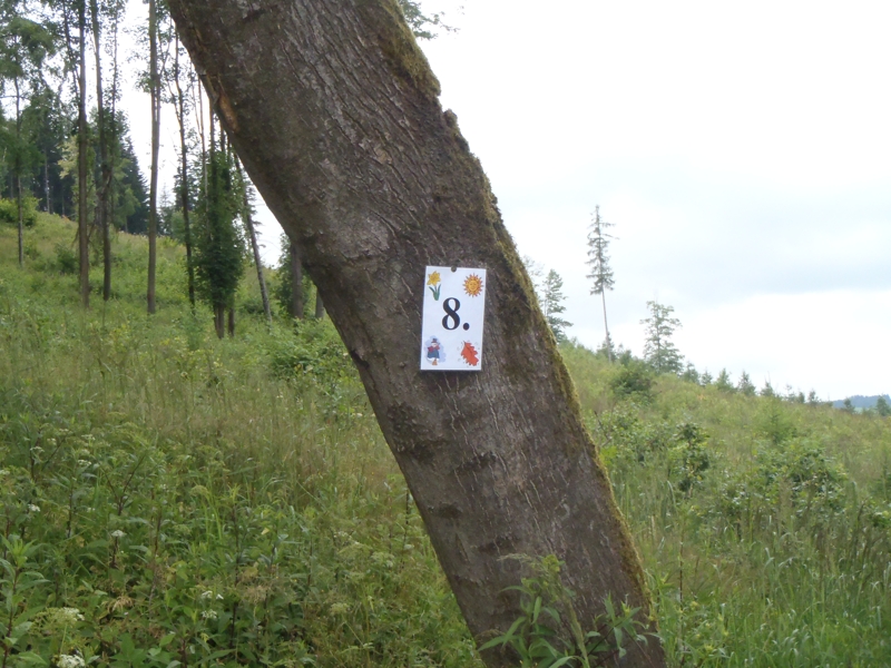 Tábor A je to! 6574