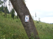 Tábor A je to! 6574
