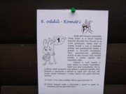 Tábor A je to! 3975
