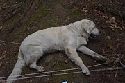 Tábor A je to! 2804