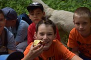 Osmý den - 8. července 2018