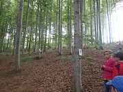 Tábor A je to! 8719