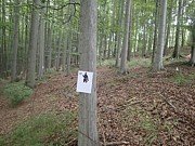Tábor A je to! 8725