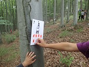 Tábor A je to! 8734
