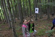 Tábor A je to! 8759