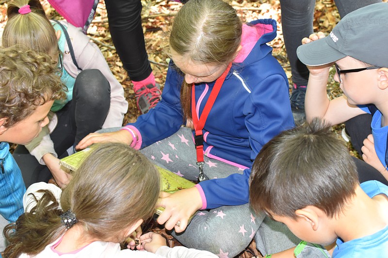 Tábor A je to! 10093