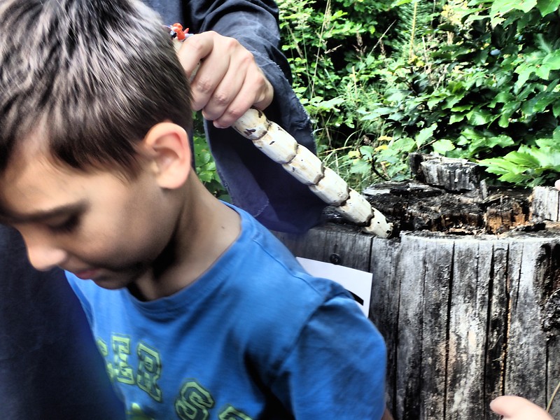 Tábor A je to! 10144