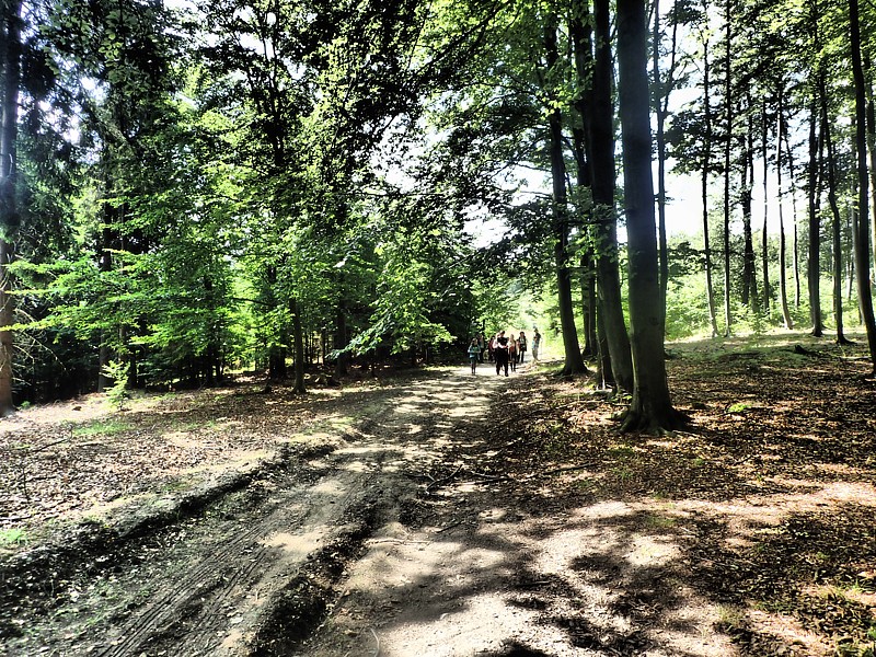 Tábor A je to! 10188