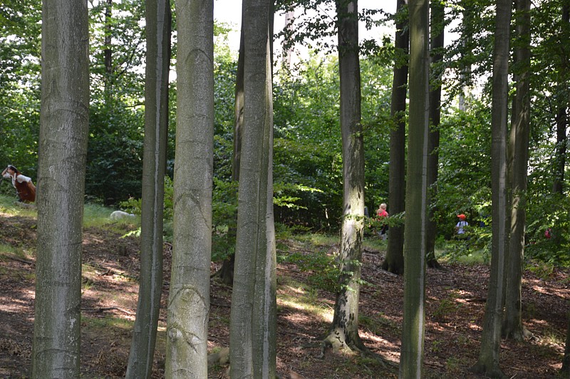 Tábor A je to! 10217