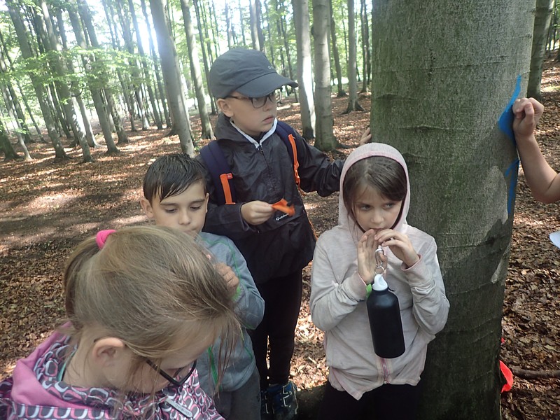 Tábor A je to! 10572