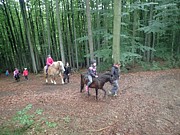 Pátý den - 18. července 2018