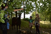 Tábor A je to! 14241