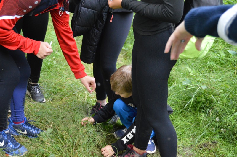 Tábor A je to! 318