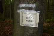 Tábor A je to! 016