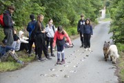 Tábor A je to! 427