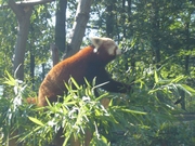 Výlet do Ostravské ZOO